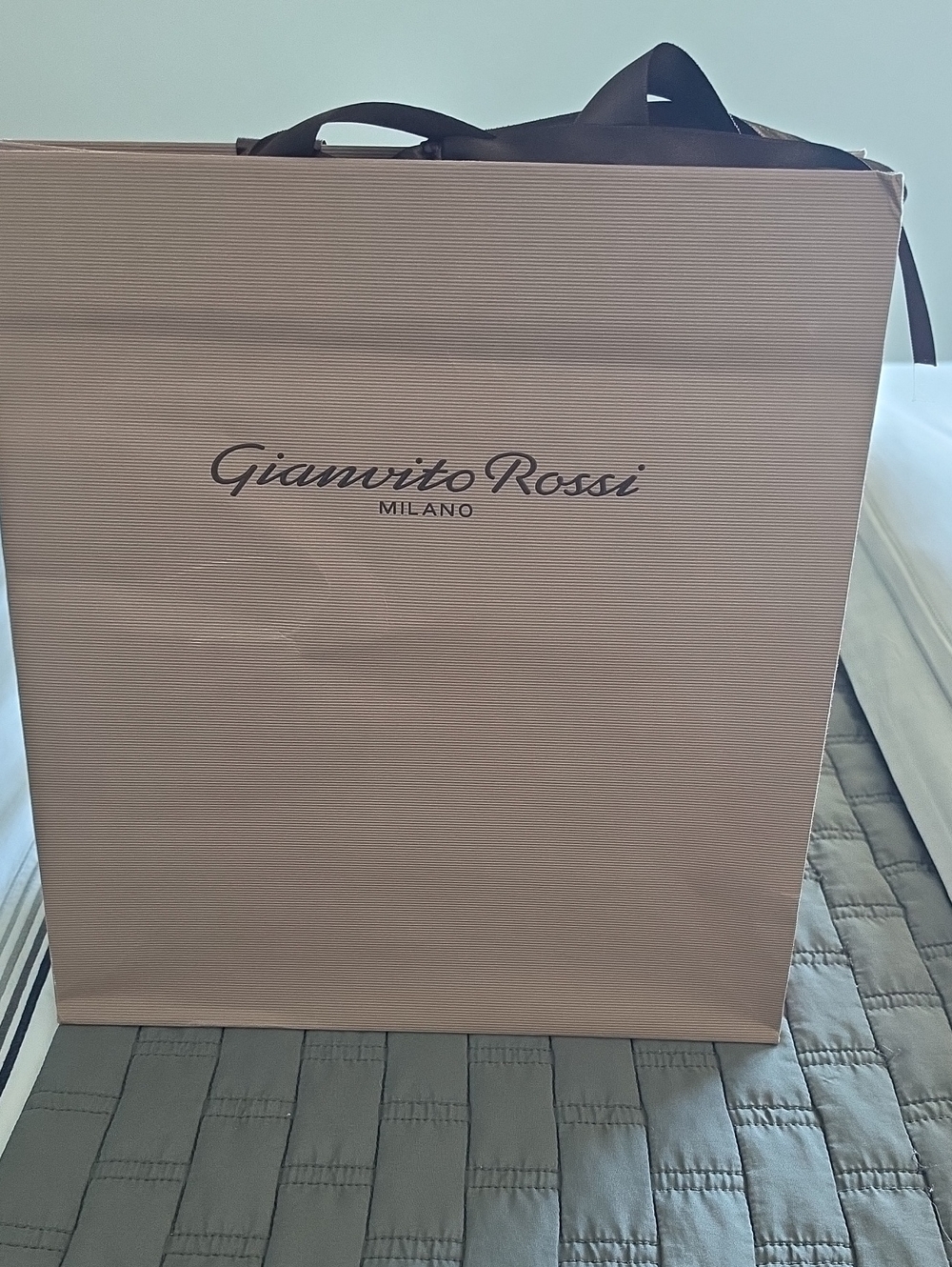 Gianvito Rossi Bag